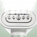 Ferro da stiro a vapore portatile